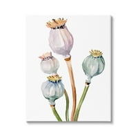 Pastelne mahune maka akvarelna botanička i cvjetna slikarska Galerija omotano platno tiskanje zidne umjetnosti