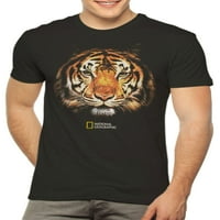 National Geographic Tiger King of the Jungle Men and Big Men's Grafička majica